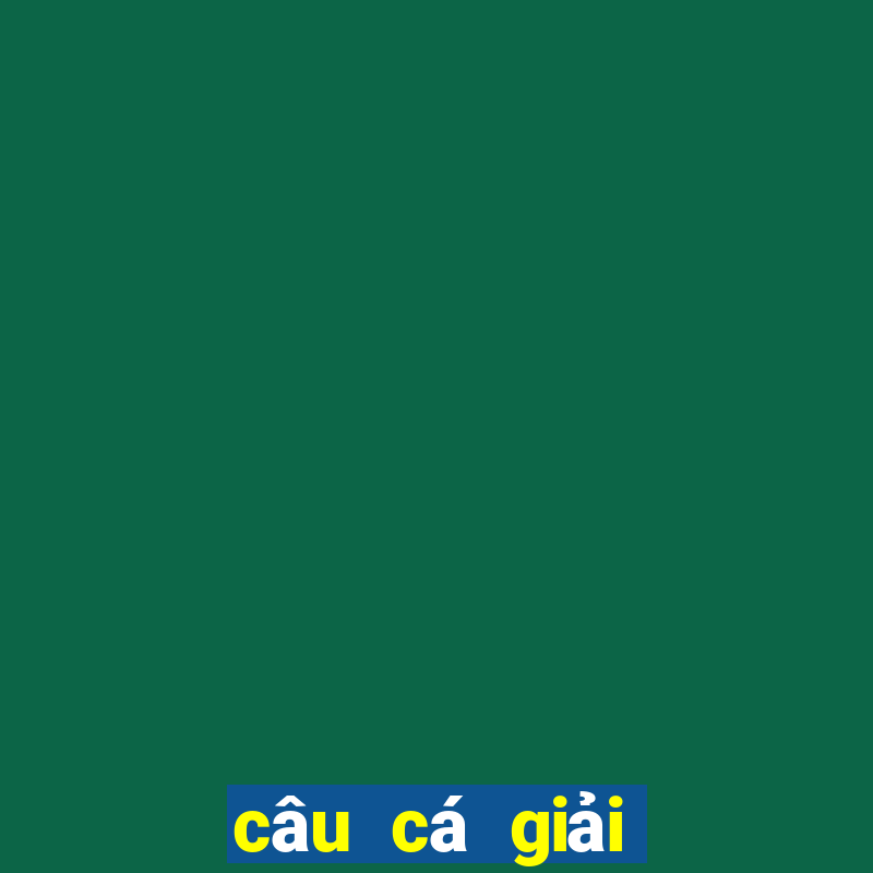 câu cá giải trí ở vũng tàu