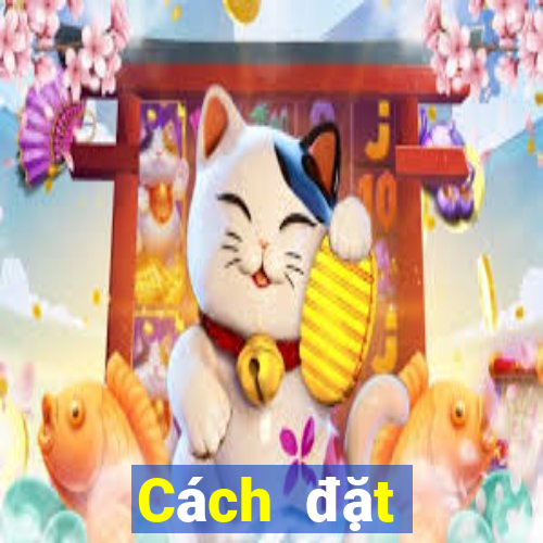 Cách đặt cược XSDNA ngày 7