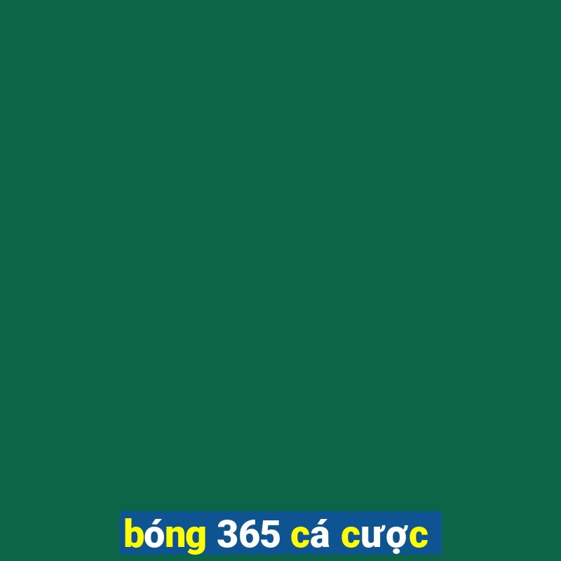 bóng 365 cá cược