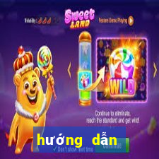 hướng dẫn đánh phỏm bịp