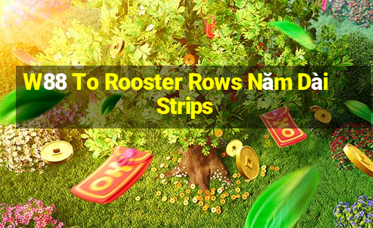 W88 To Rooster Rows Năm Dài Strips