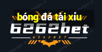 bóng đá tài xỉu