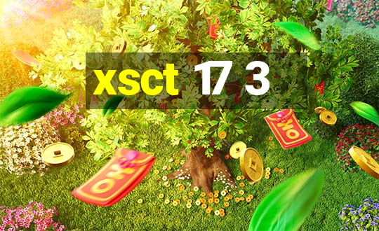 xsct 17 3