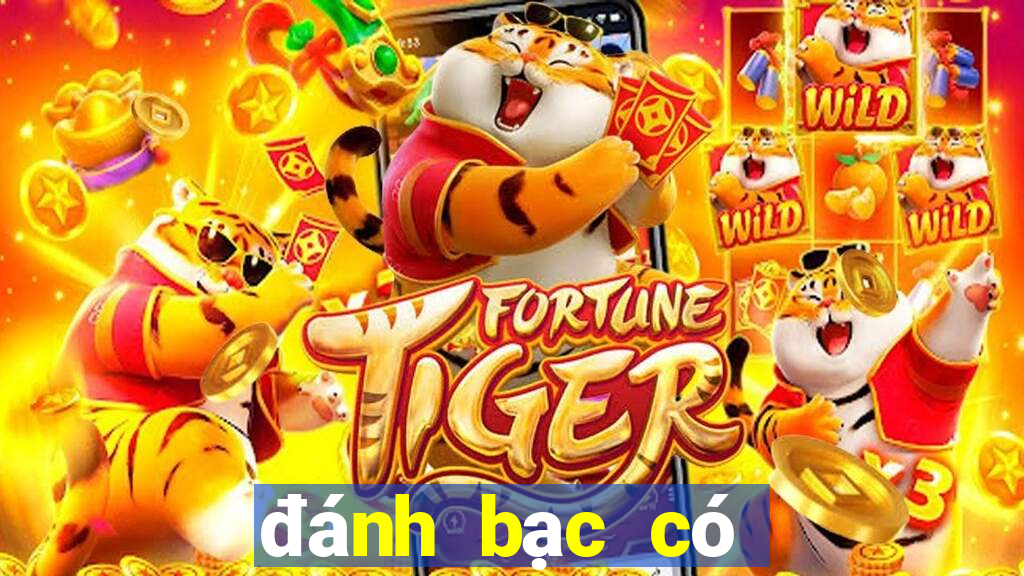 đánh bạc có đi tù không