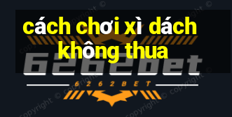 cách chơi xì dách không thua