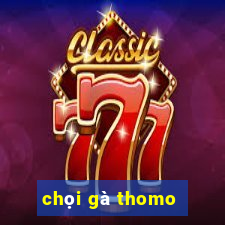 chọi gà thomo