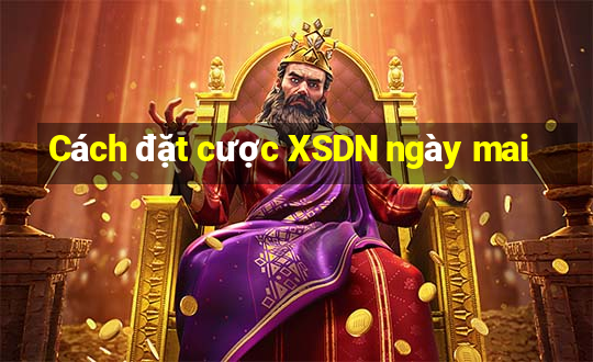 Cách đặt cược XSDN ngày mai