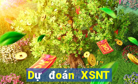 Dự đoán XSNT ngày 20