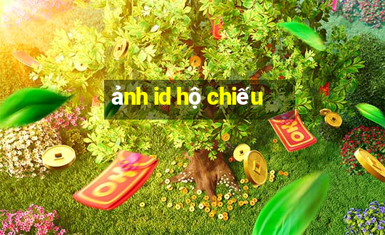 ảnh id hộ chiếu