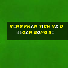 Mạng phân tích và dự đoán bóng rổ