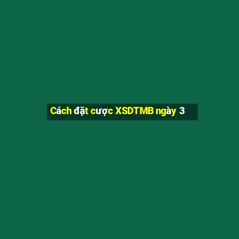 Cách đặt cược XSDTMB ngày 3