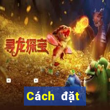 Cách đặt cược XSDTMB ngày 3