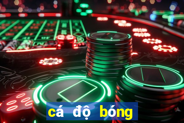 cá độ bóng đá qua mạng