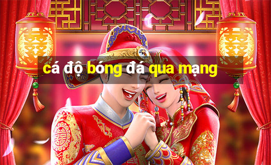 cá độ bóng đá qua mạng