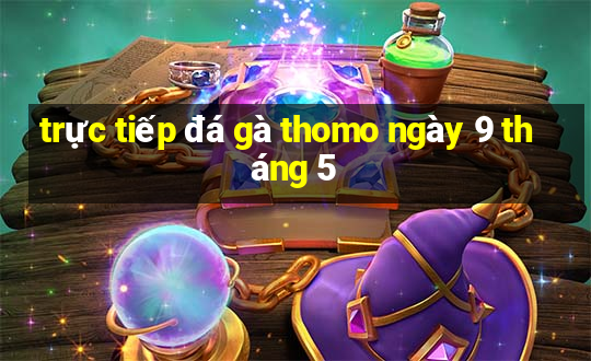 trực tiếp đá gà thomo ngày 9 tháng 5