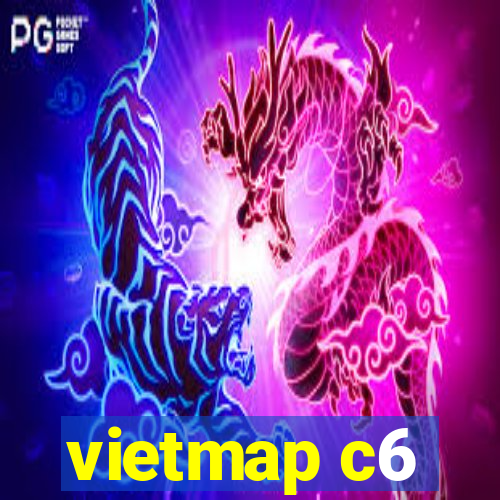 vietmap c6