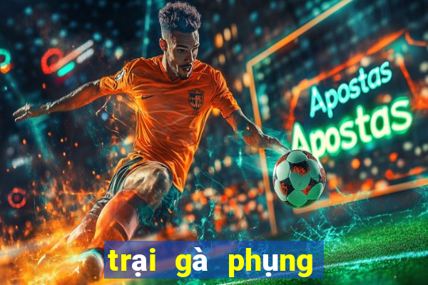 trại gà phụng hoàng kê 2024