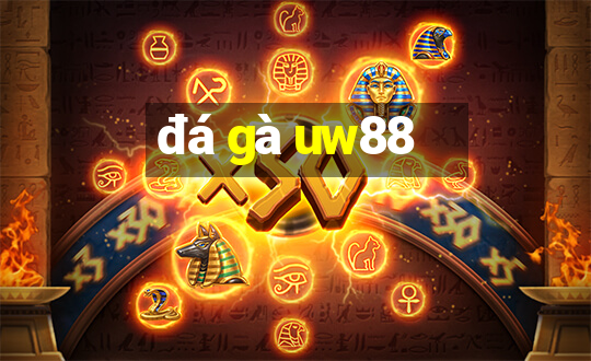 đá gà uw88