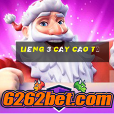 liêng 3 cây cào tố