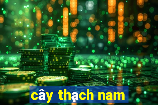 cây thạch nam