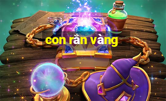 con rắn vàng