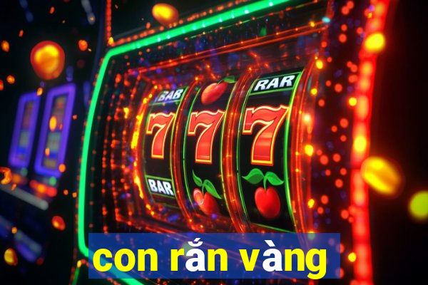 con rắn vàng