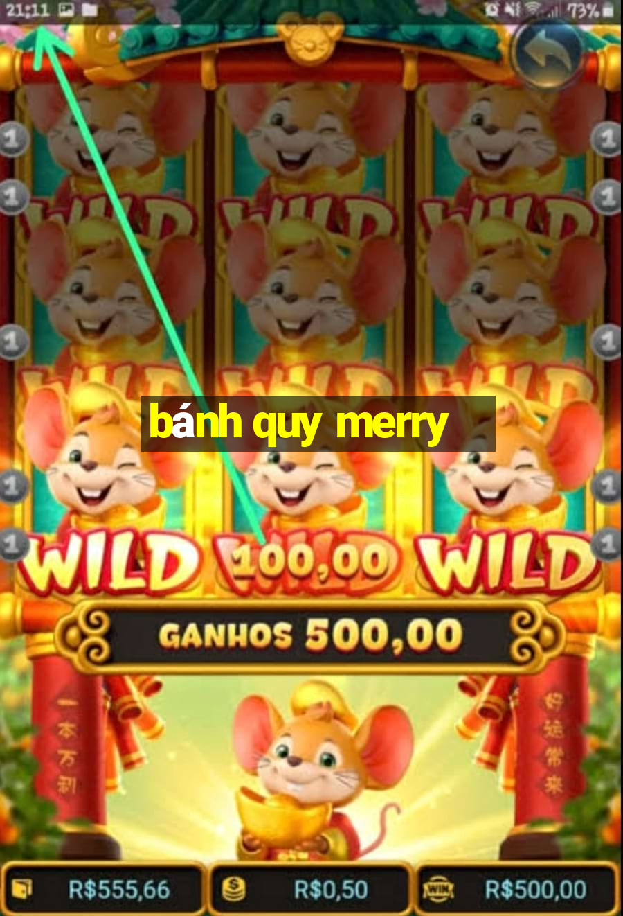 bánh quy merry