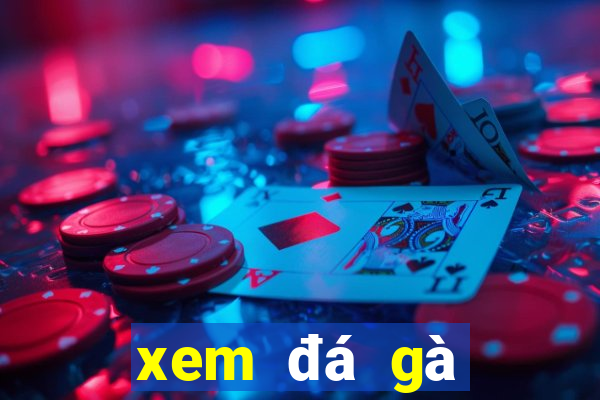 xem đá gà trực tiếp ngày hôm nay