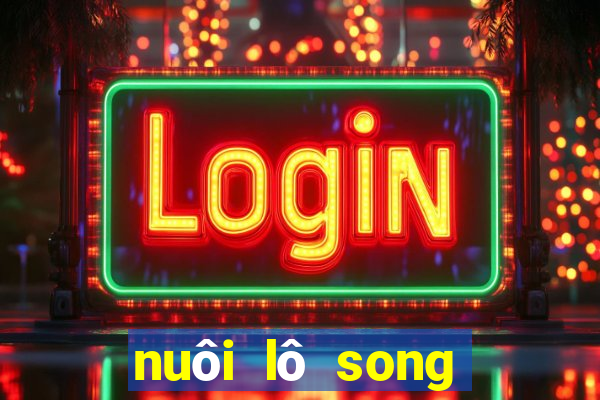 nuôi lô song thủ khung 3 ngày