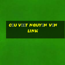 cầu vượt nguyễn văn linh