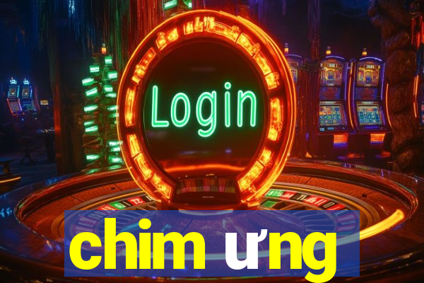 chim ưng