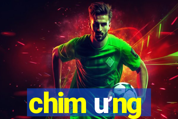 chim ưng