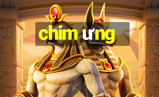 chim ưng