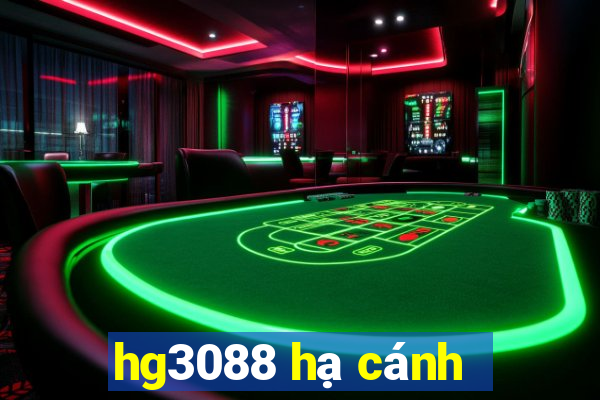 hg3088 hạ cánh