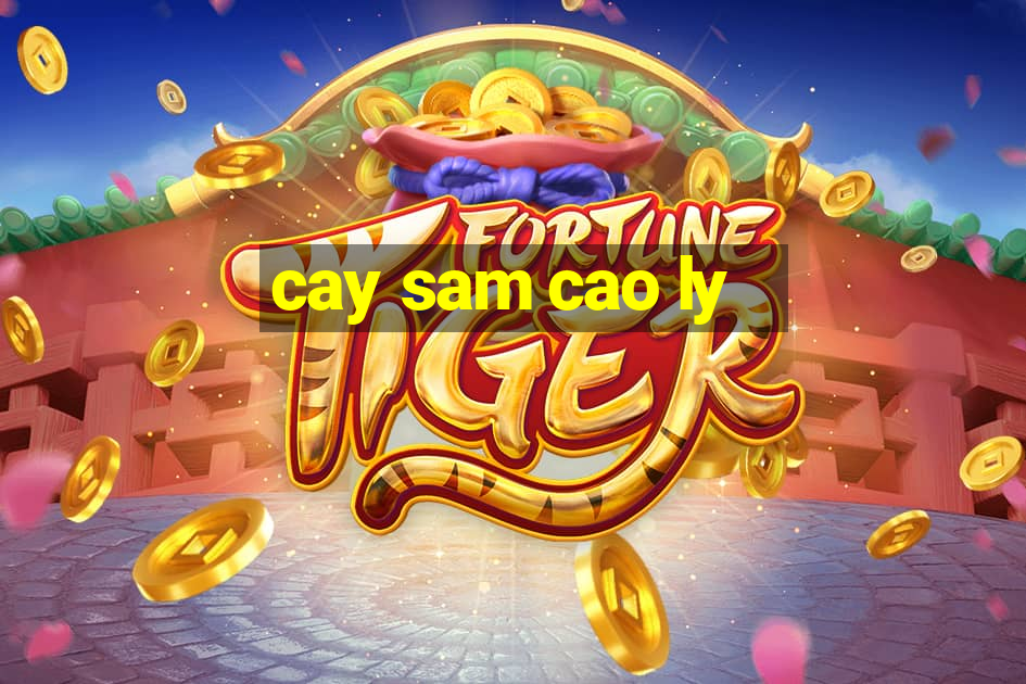 cay sam cao ly