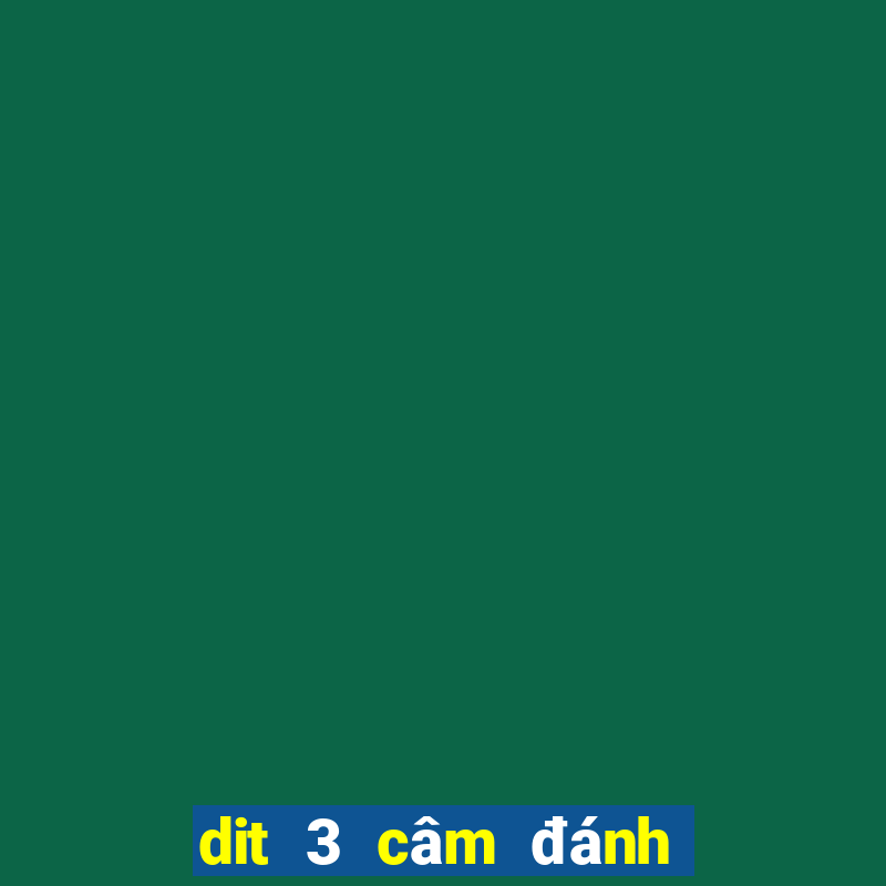 dit 3 câm đánh con gì