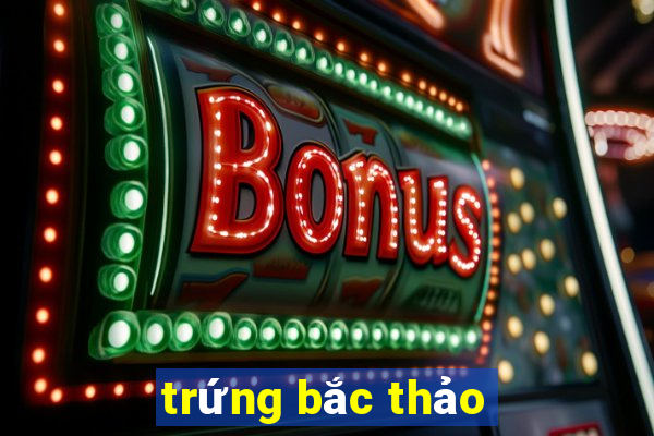 trứng bắc thảo