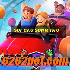 soi cau song thu