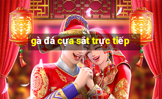 gà đá cựa sắt trực tiếp