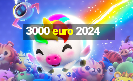 3000 euro 2024