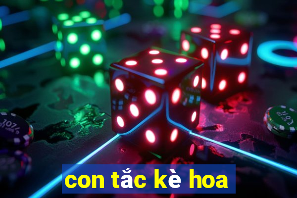 con tắc kè hoa