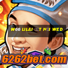 W66 LILAI ĐẤT NƠI wed