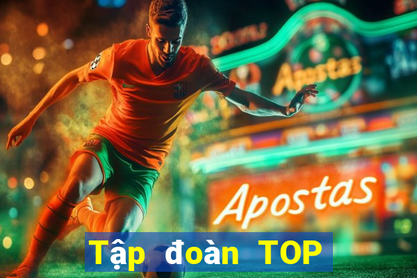 Tập đoàn TOP NEW INTERNATIONAL