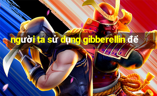 người ta sử dụng gibberellin để