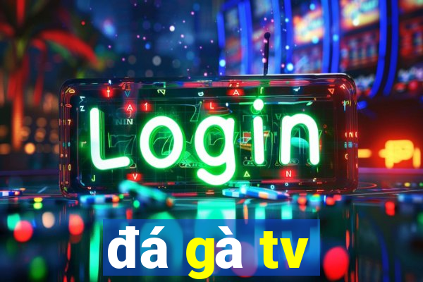 đá gà tv