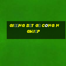 giường bệt gỗ công nghiệp