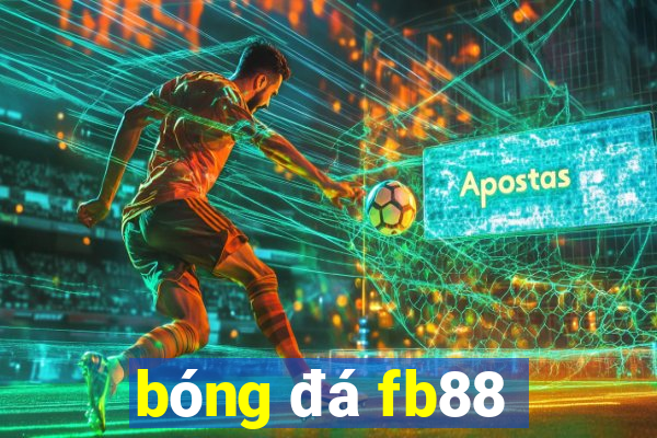 bóng đá fb88