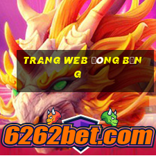 Trang web đóng băng