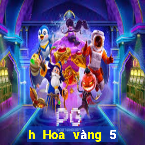 h Hoa vàng 5 lông chiên