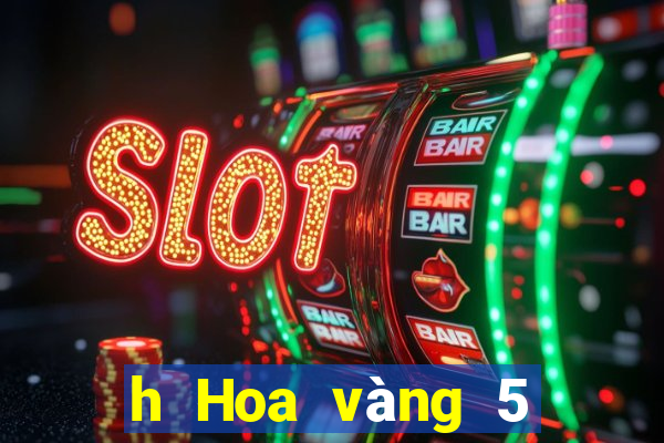 h Hoa vàng 5 lông chiên